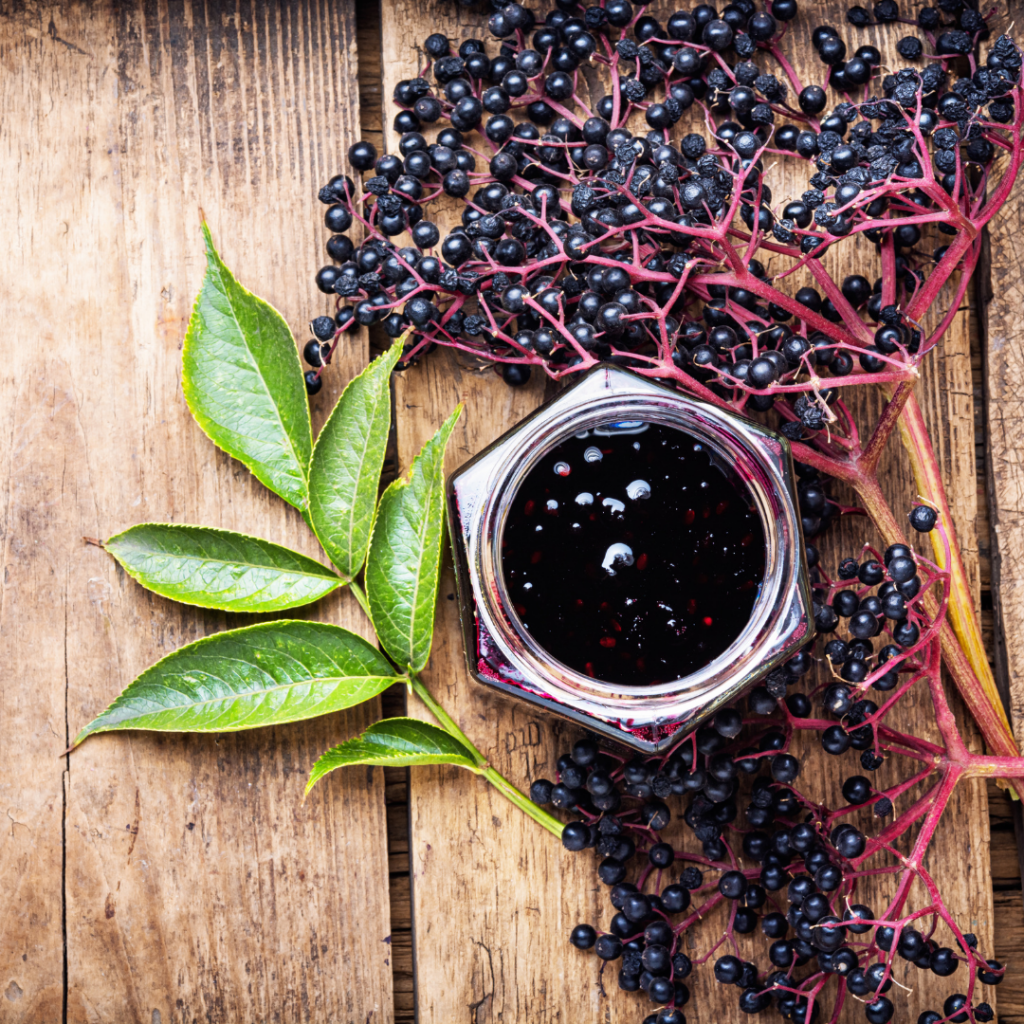 Οφέλη για την υγεία του Elderberry